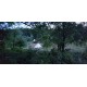 Glamping Tent on Secluded Site