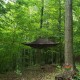 Camp In The Trees