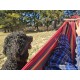 Hammock
