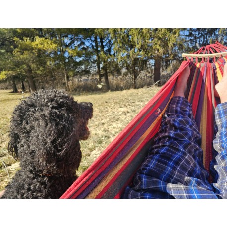 Hammock